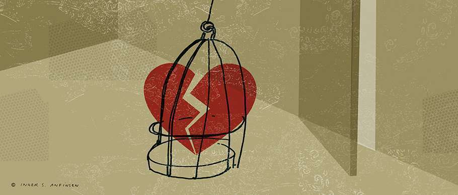 Illustrasjon, voldens liv og logikk